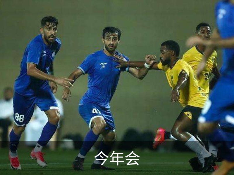 走进今年会